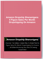 Amazon Dropship Shenanigans – 6 Figure Sales Per Month Dropshipping