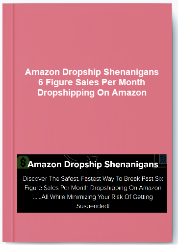 Amazon Dropship Shenanigans – 6 Figure Sales Per Month Dropshipping