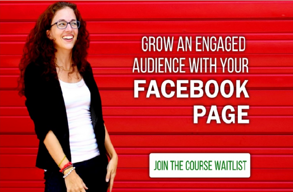 Rachel Miller - Moolah's Grow Your Audience Course (Facebook Page Strategies)