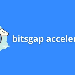 Bitsgap Accelerator Course