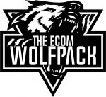 The Ecom Wolf Pack – Dropshipping To Branding Course