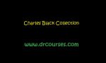Charles Black Collection