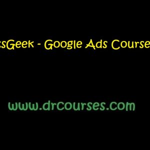 ClicksGeek - Google Ads Course 2022 d