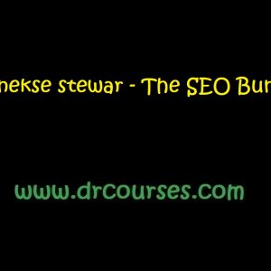 Menekse stewar - The SEO Bundle