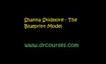 Shanna Skidmore - The Blueprint Model