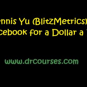 Dennis Yu (BlitzMetrics) - Facebook for a Dollar a Day d